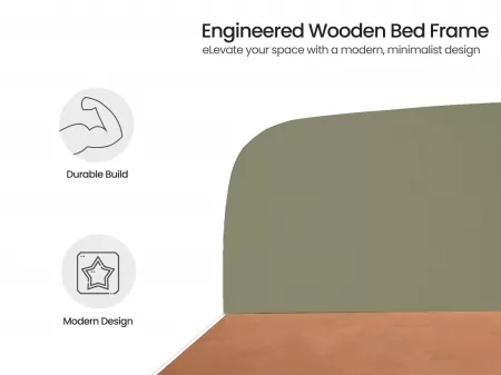 Olivix Queen Size Double Bed